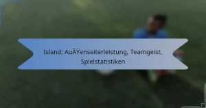 Island: Außenseiterleistung, Teamgeist, Spielstatistiken