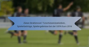 Zlatan Ibrahimović: Torschützenstatistiken, Spielerbeiträge, Spielergebnisse bei der UEFA Euro 2016