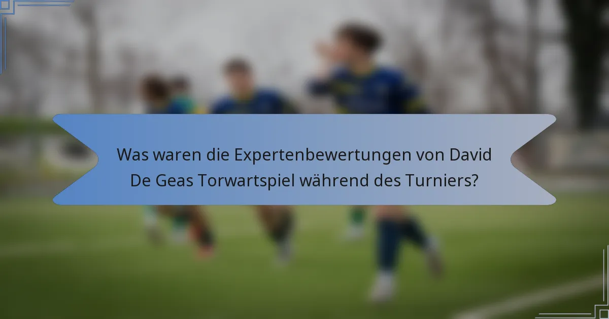 Was waren die Expertenbewertungen von David De Geas Torwartspiel während des Turniers?