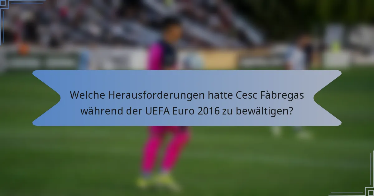 Welche Herausforderungen hatte Cesc Fàbregas während der UEFA Euro 2016 zu bewältigen?