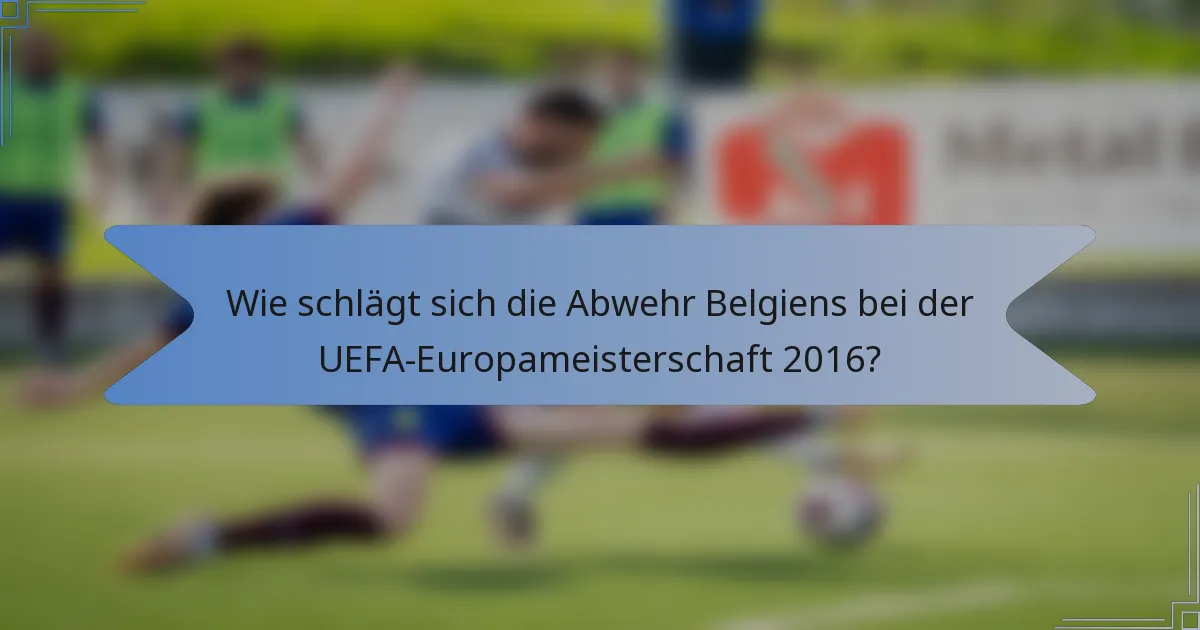 Wie schlägt sich die Abwehr Belgiens bei der UEFA-Europameisterschaft 2016?
